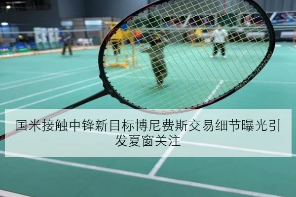 国米接触中锋新目标博尼费斯交易细节曝光引发夏窗关注